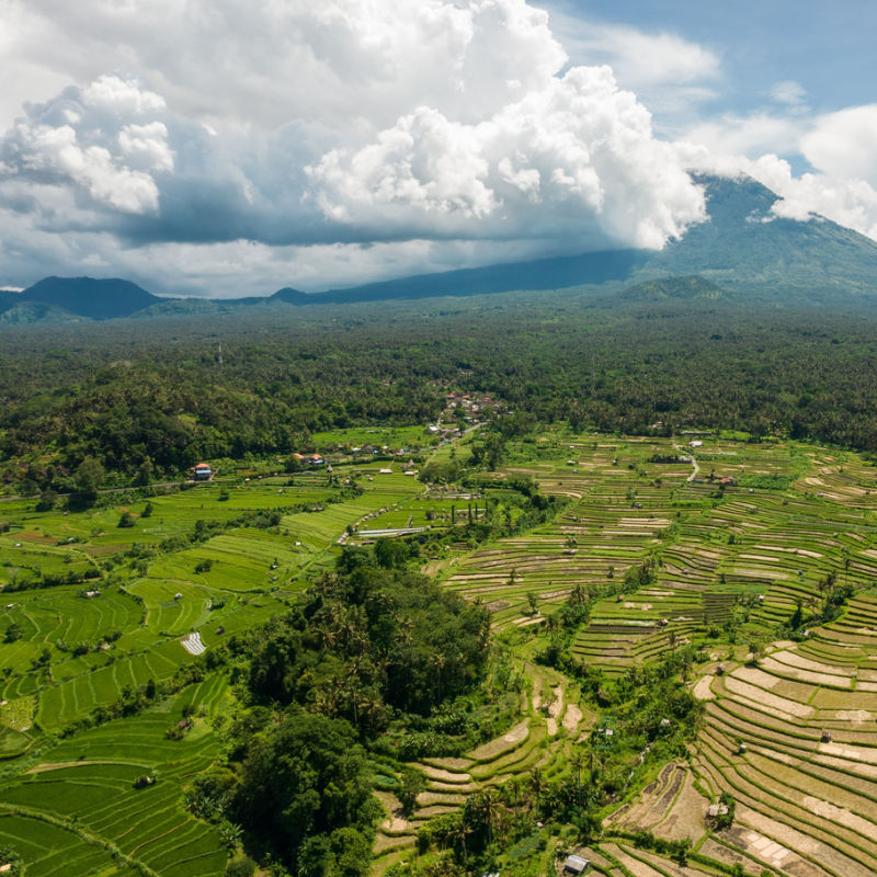 Ariel of Rice Fields In Bali Mt Batur Behind Clouds