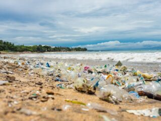 Bali To Ban Single Use Plastics By End Of 2022
