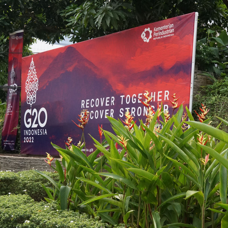 Poster-for-the-Bali-G20-Summit-With-Flowers