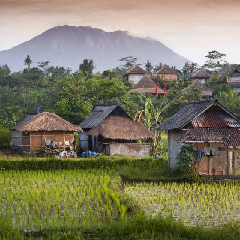 Rural-Village-In-Bali-By-Rice-Feild-and-Mount-Batur