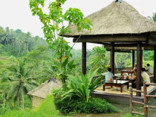 Adventure, Cultural And Nature Tourism In Bali Slow To Bounce Back