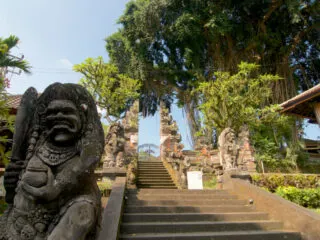 Australian Tourist Who Climbed Sacred Tree In Bali Apologizes Before Deportation