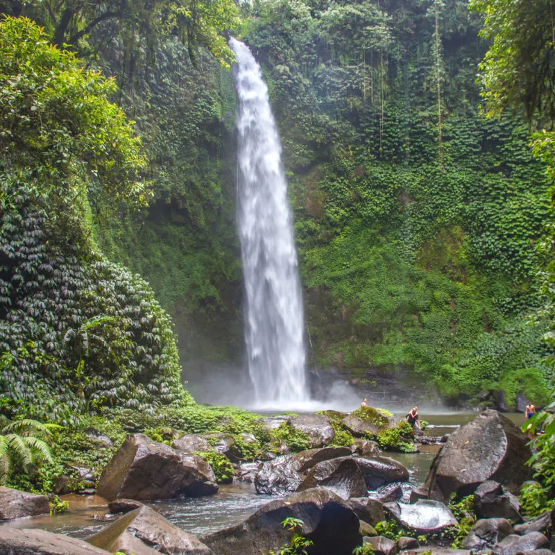 Bali-Waterfall-Surrounded-By-Jungle-Forest