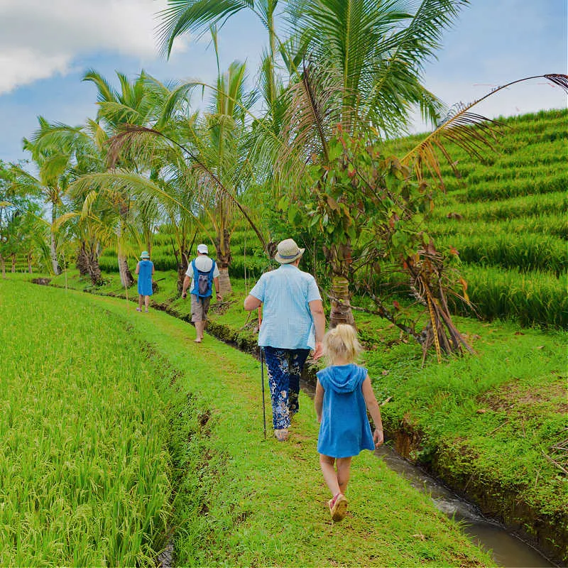 Family-Of-Tourists-Walk-Through-Bali-Rice-Fields