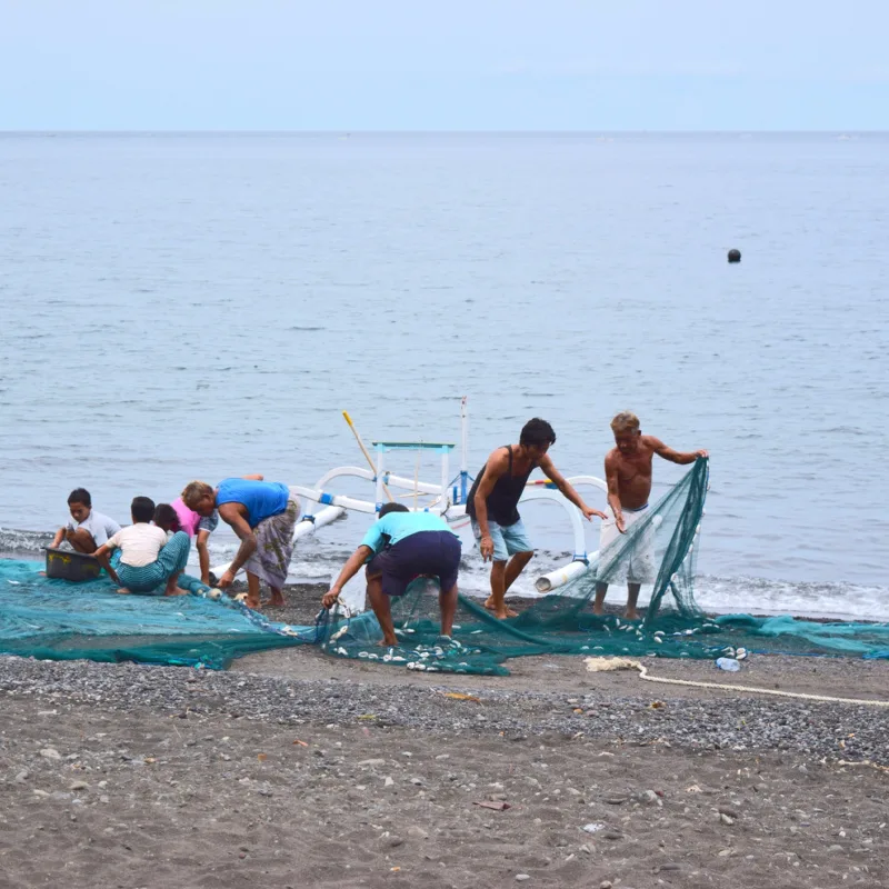 Fishermen On Bali Beach Gather Fishing Nets