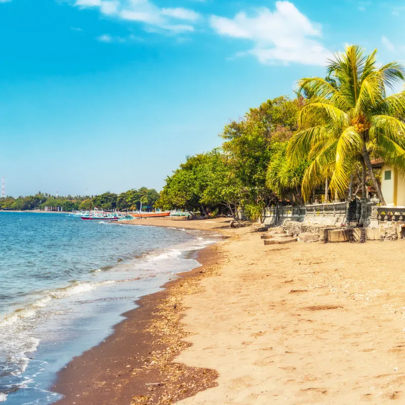 Lovina-Beach-In-Bali-With-Coconut-Trees-And-Blue-Sky