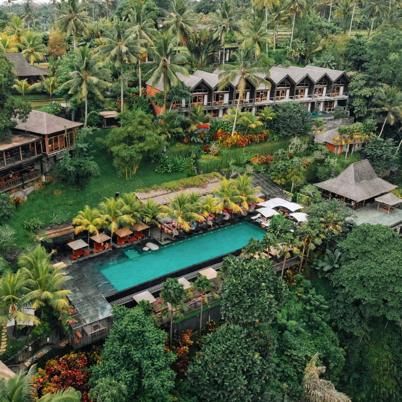 Hôtel-de-luxe-Resort-Dans-Ubud-Jungle-Forest-Avec-Piscine