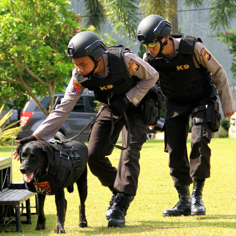 Police In Indonesia Use Sniffer Dog