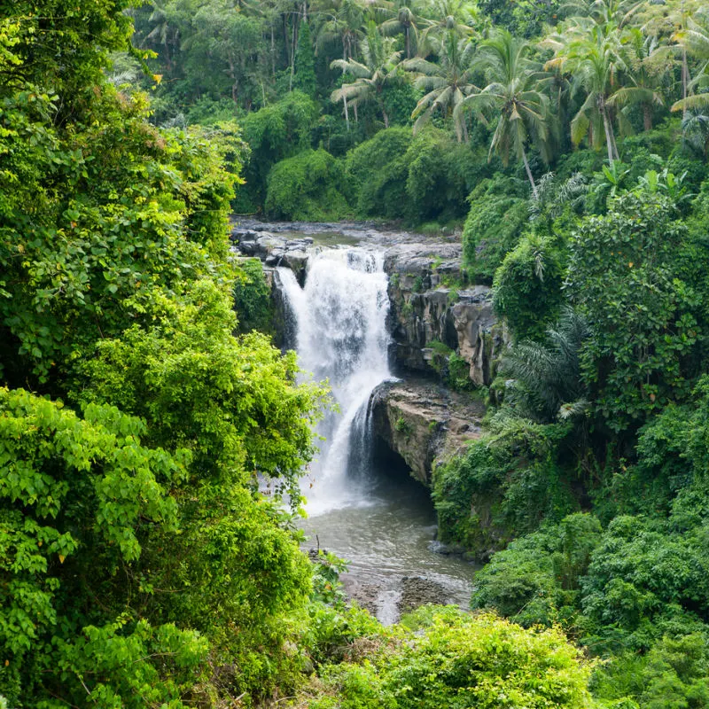 Waterfall in central Bali surrounded by tropical jungle.