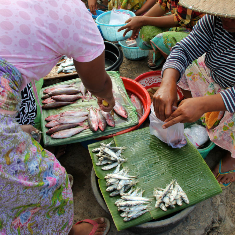 Women-In-Bali-At-Local-Fish-Market-Sell-Small-Fish-From-Banana-Leaf-Trays