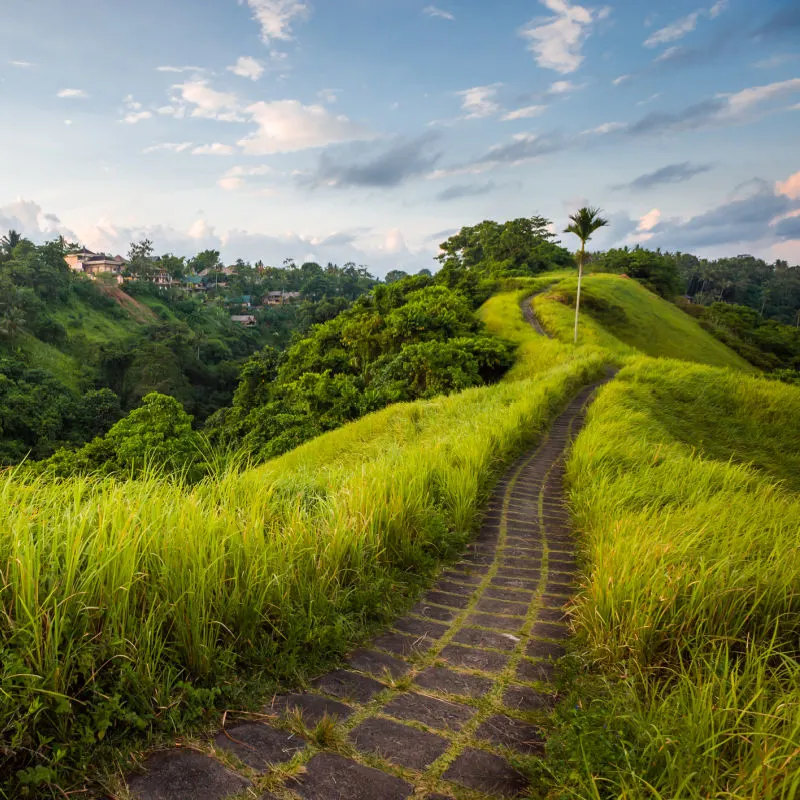 Campuhan-Ridge-Walk-In-Ubud-Bali-At-Sunrise