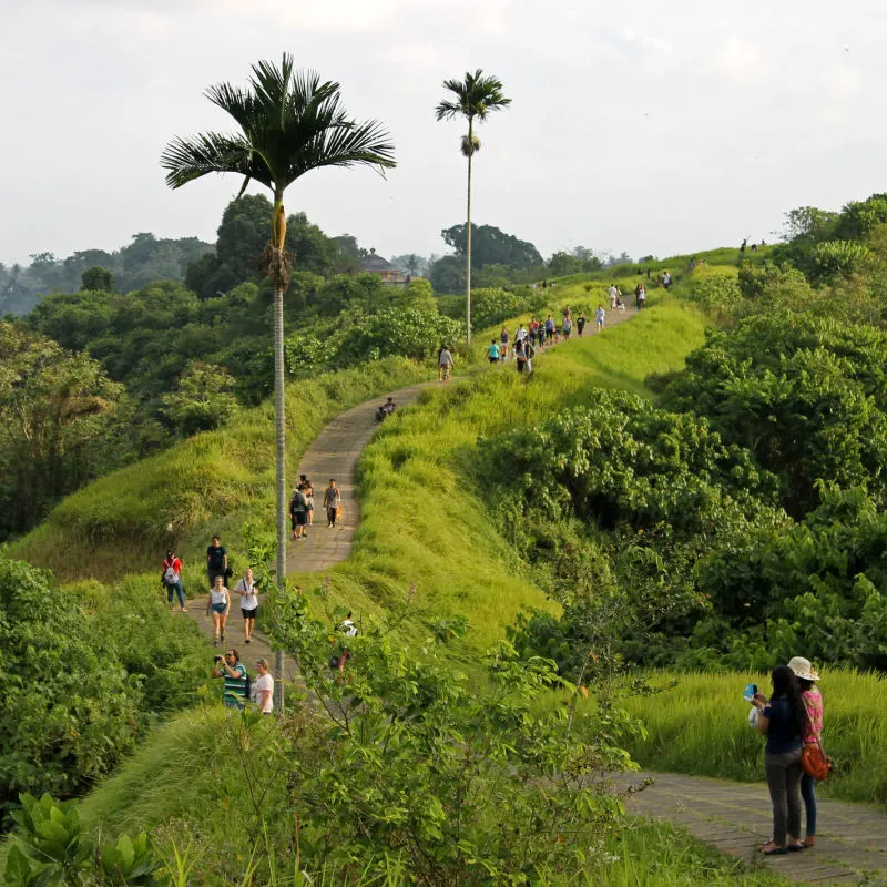 관광객-탐험-Kampuhan-Ridge-Walk-in-Ubud-Bali