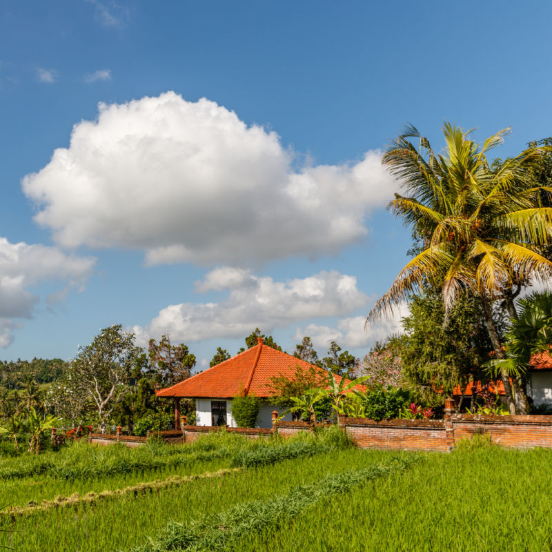 Village-In-Rural-Area-In-Bali