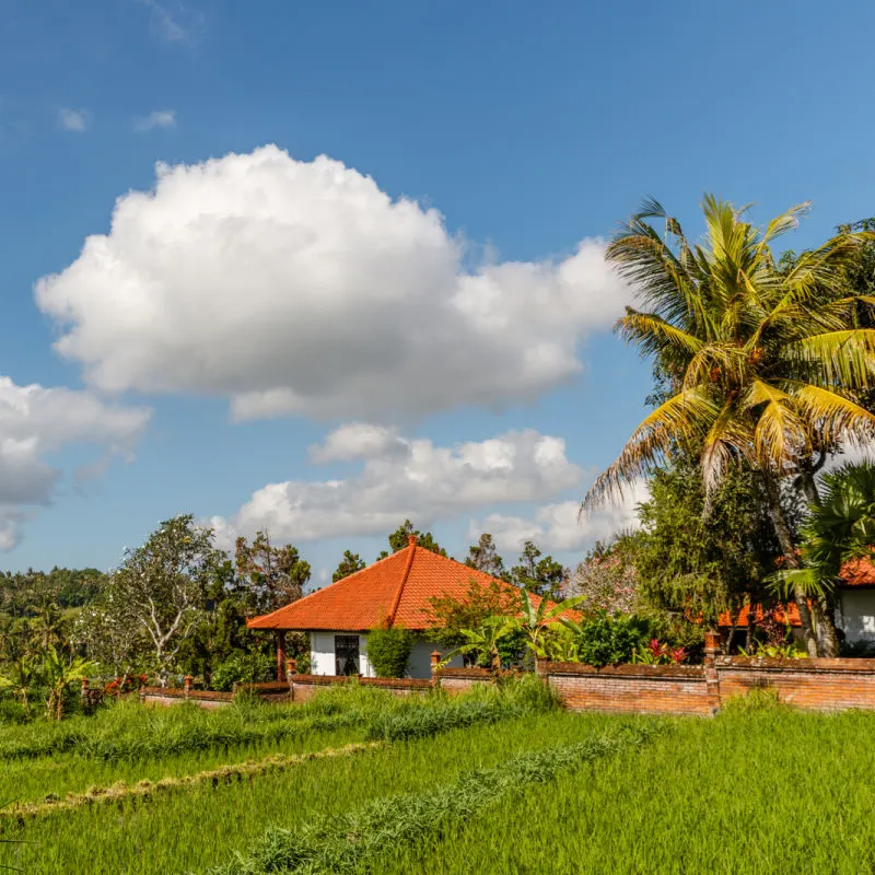 Village-In-Rural-Area-In-Bali