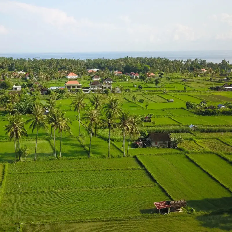Ariel-View-Of-Old-Canggu-Farmland-Looking-Out-To-Bali-Sea