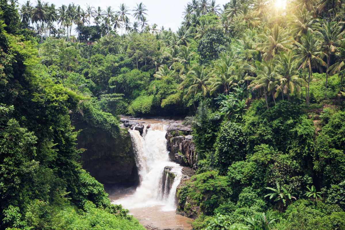 Bali Community Develops Eco-Tourism Initiative At Village Waterfall