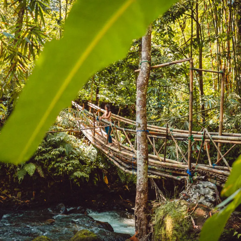 Bamboo-Bridge-Crossing-River-In-Bali-Jungle-Forest