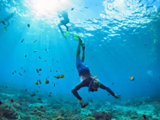 Conservationists In Bali Update Tourist Diving Regulations To Protect Rare Marine Life