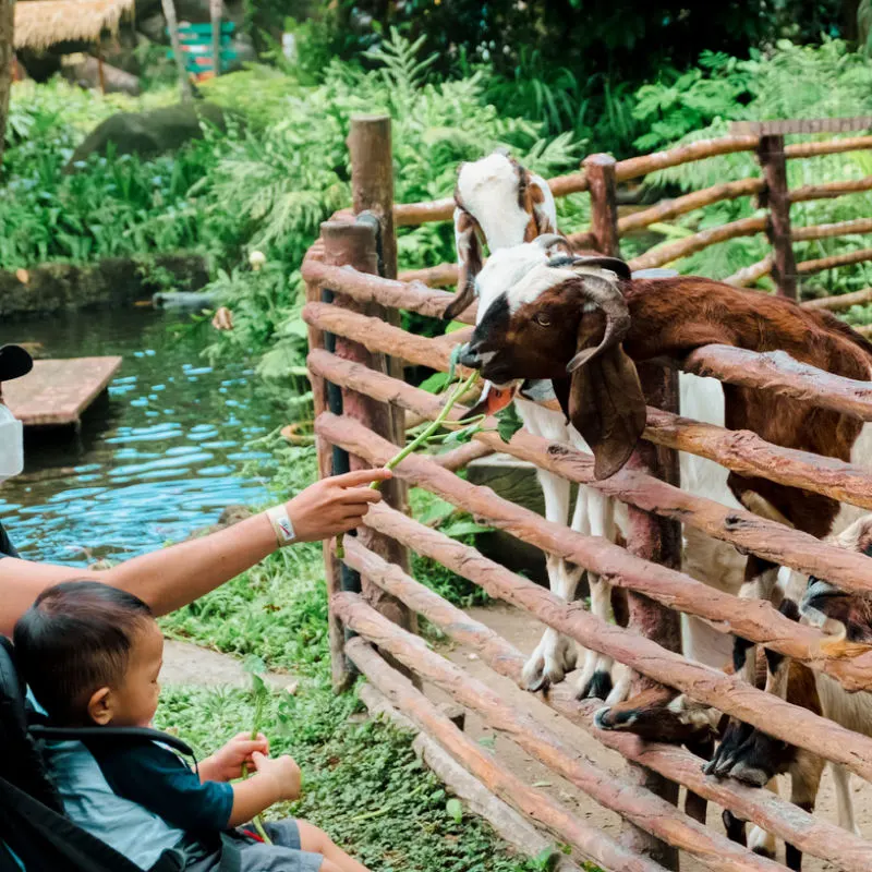 Why Does Wildlife Matters? - Taman Safari Bali