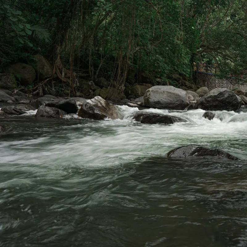 River Flows Over Rocks And Jungle In Bali