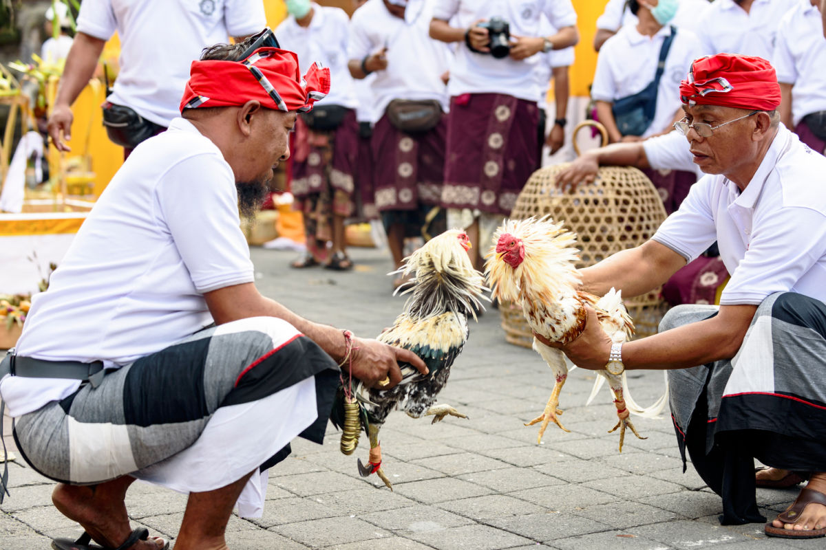 The Bali Bible  Stick Fighting