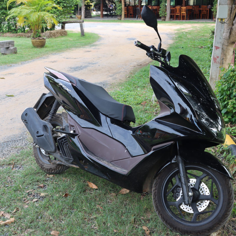 Honda PCX Moped Black On green Grass