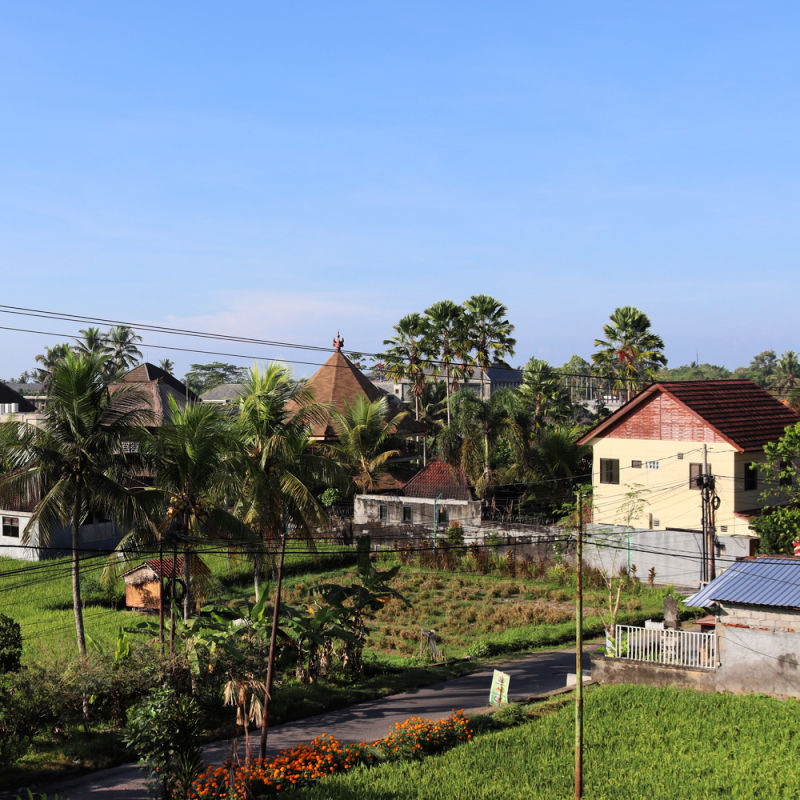 Landscape of Ubud Village With Guesthouse And Rice Field