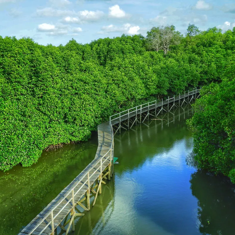 river in bali