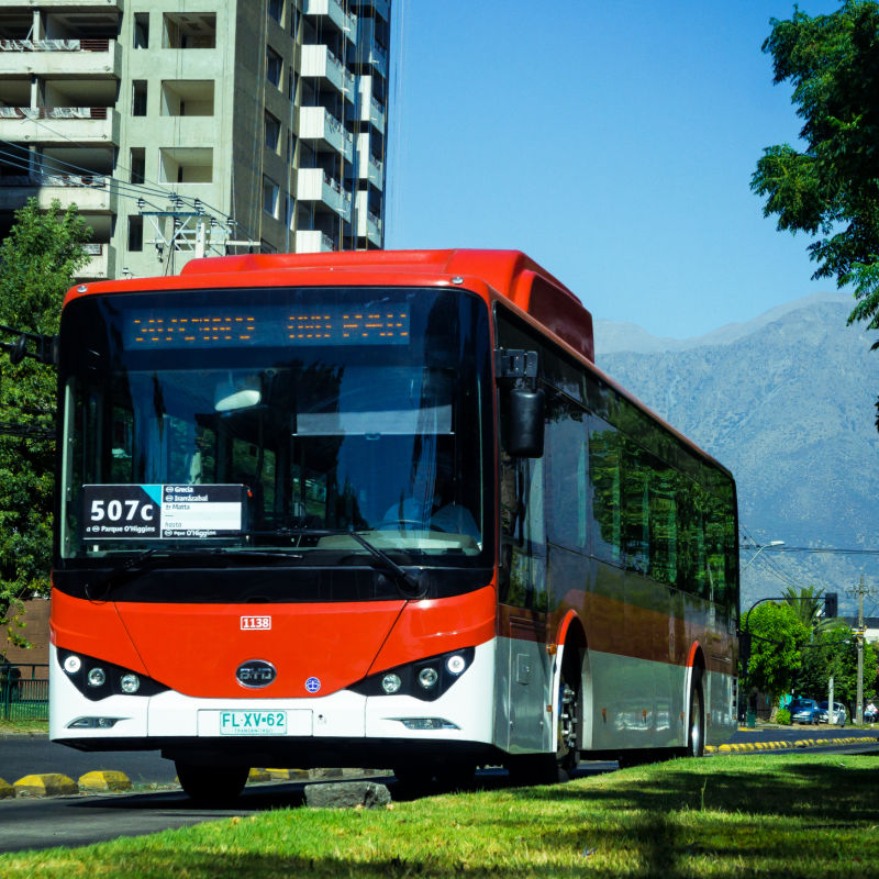 Red and white electric bus travels along urban green area