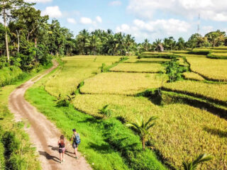 Regenerative And Adventure Tourism In Bali Gaining Popularity After Lockdown