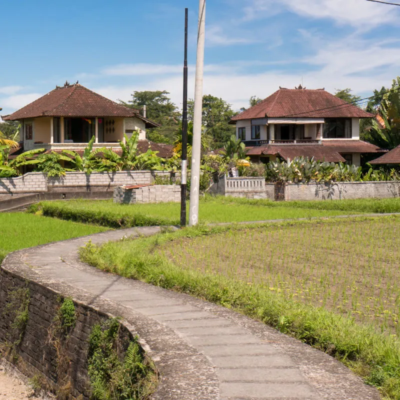 Rental Accommodation Homes In Ubud Area In Bali