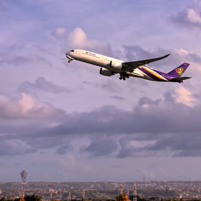 Thai Airways Plan Flies Over Bali Landscape