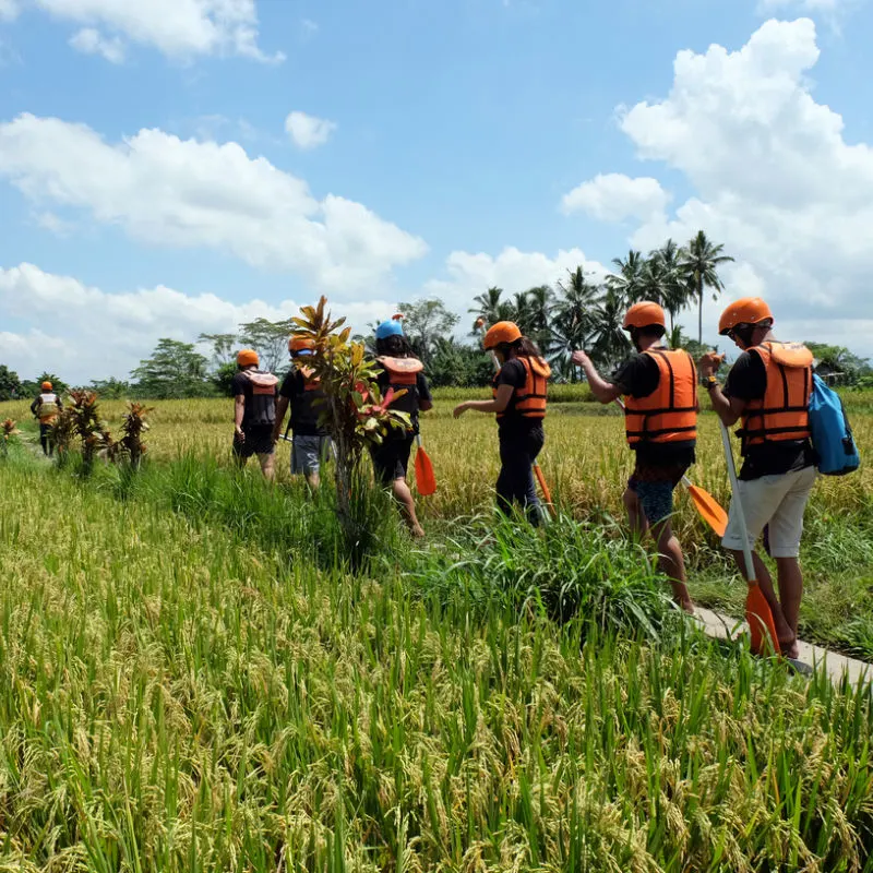 Tourists-Walk-Through-Rice-Field-In-Bali-On-Way-To-Adventure-Activity