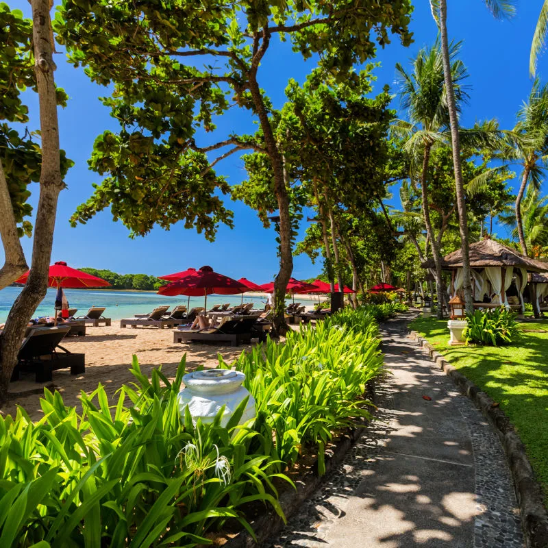 Tropical-Garden-At-Bali-Beach-hotel-Resort