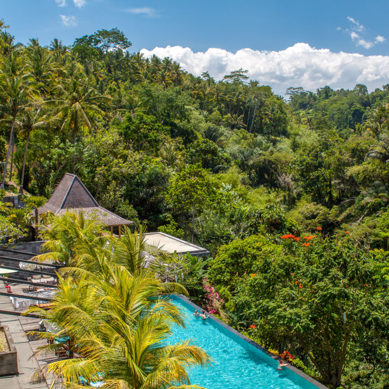 Tropical Hotel And Swimming Pool Surrounded By Jungle Forest In Bali