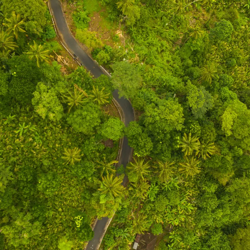 Ariel-View-Of-Rural-Road-In-Bali-Passing-Through-Tropical-Jungle-Forest