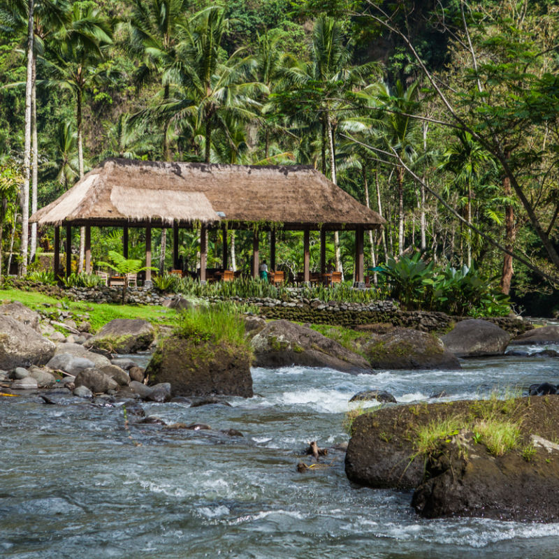 Ayung River I Ubud Flow Through Bali Forest Jungle And Community Village Hall.jpg