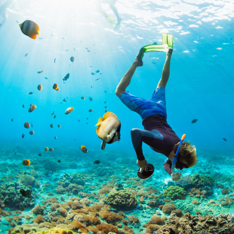 Diver Wearing Snorkel and Flippers Swims Towards Coral Reef And Tropical Fish In Bali