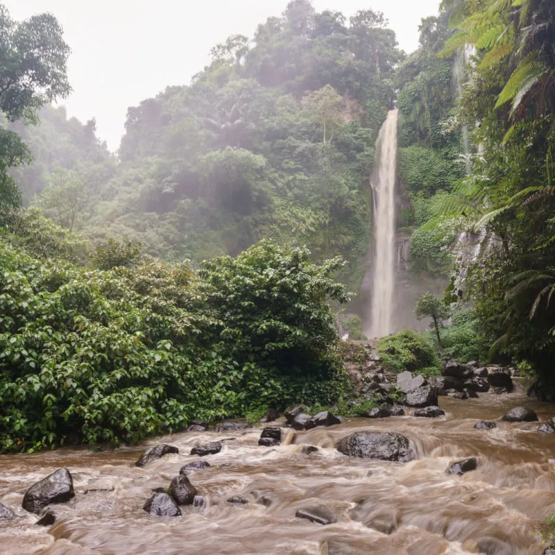 Muddy Flooded River In Central Bali With Waterfall Over Rocks And Jungle Landscape