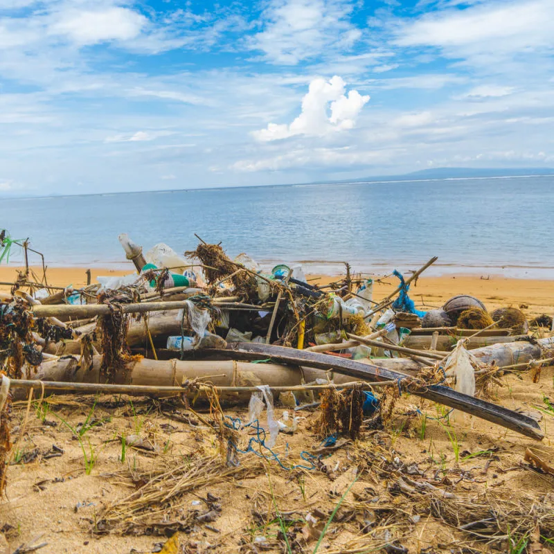 Plastic Waste Washed Up On Bali Beach On Fallen Tree Trunk