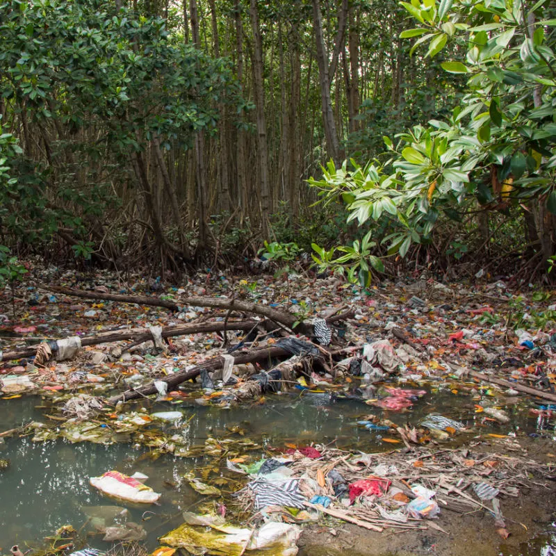 Polluted River In Bali Clogged After Flood Events With Fallen Tree Logs And Plastic Garbage Waste