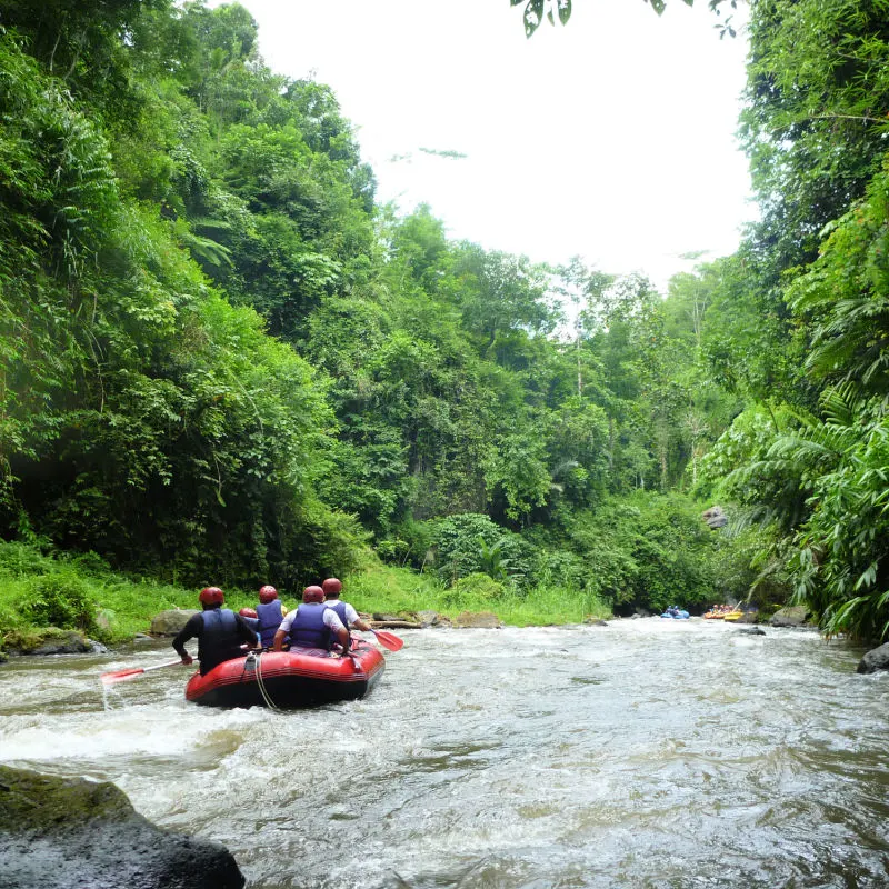 Rafters Travel Downstream Of Ayung River In Bali