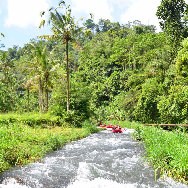Experiencia-de-rafting-para-turistas-en-el-rio-Ayung-en-Ubud-Bali