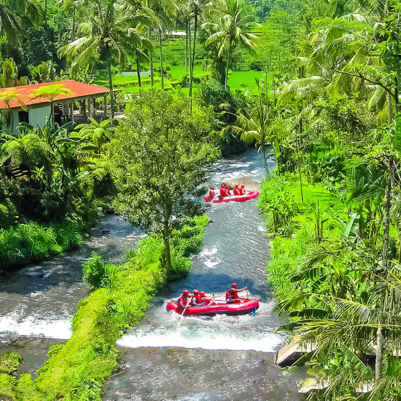 Tourists Raft Along River Outside Ubud Area In Bali Through Farm Land And Tropical Jungle