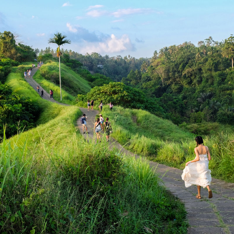 Tourists Walk Along The Campuhan Ridge Walk In Ubud