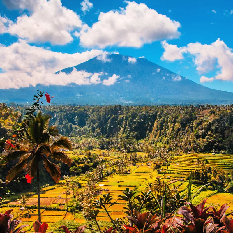 View Of Mount Agung From Bali Countryside Farming Area