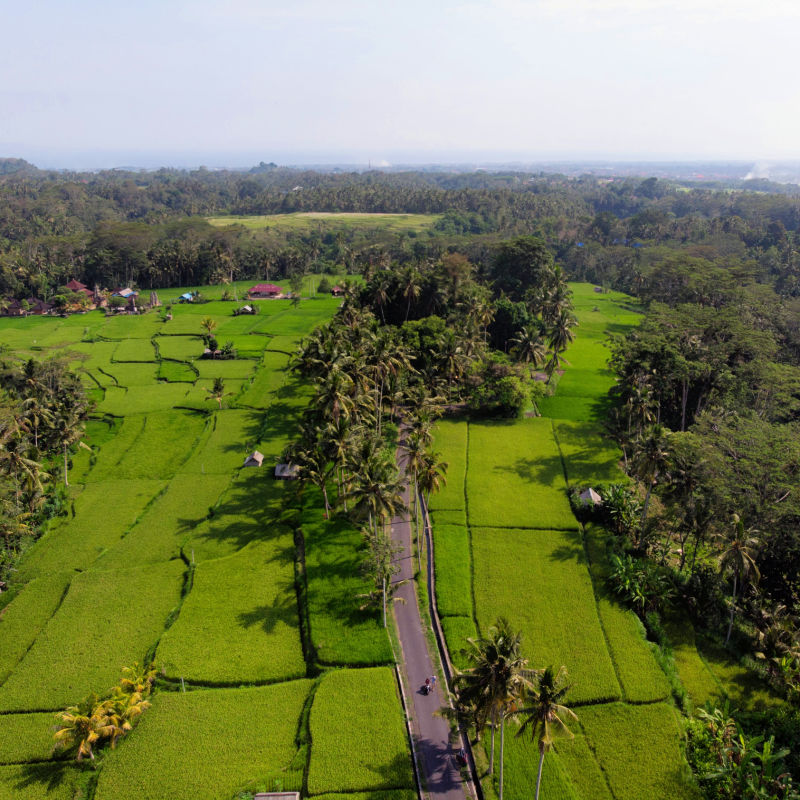 Agricultural Rural Area of Bangli Regency in Bali