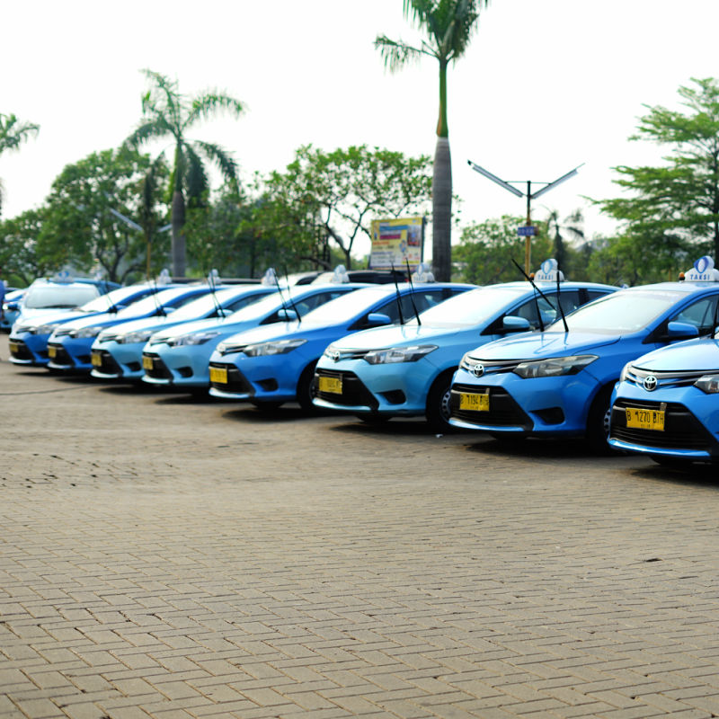 Blue Bird Bali Airport Taxis Line Up