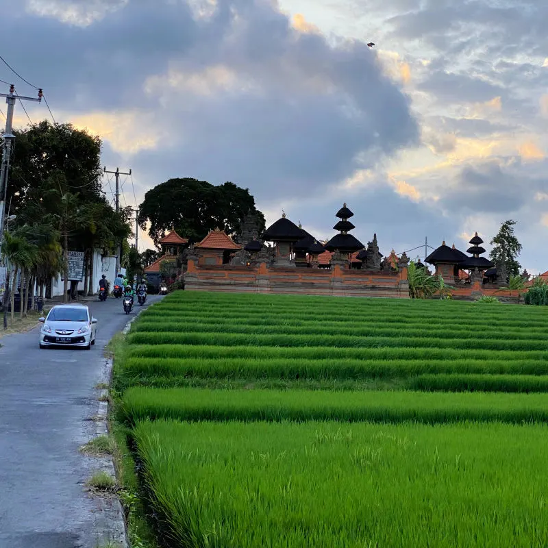 Canggu Shortcut Unusually Free From Traffic By Rice Paddies