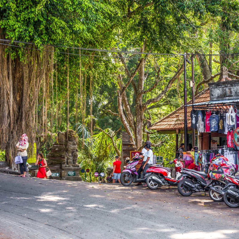 Corner Of Monkey Forest Street By The Big Fig Trees and Shopping Stalls In Ubud Bali